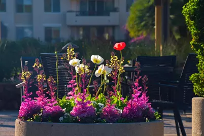 400 Deer Valley Road #3D, San Rafael, CA 94903 - Photo 13