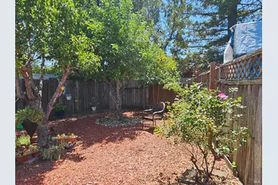 265 Spanish Flag Way, Sonoma, CA 95476 - Photo 9