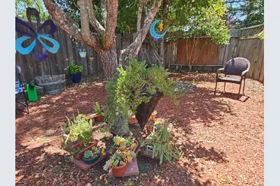 265 Spanish Flag Way, Sonoma, CA 95476 - Photo 31