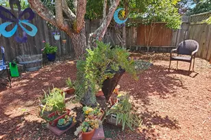 265 Spanish Flag Way, Sonoma, CA 95476 - Photo 31