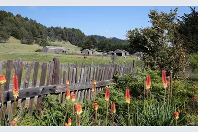 37284 Rams Horn Reach, The Sea Ranch, CA 95497 - Photo 15