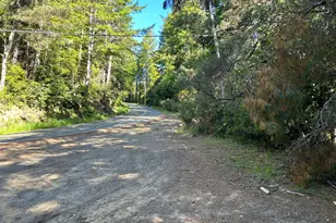 39700 Eureka Hill Rd, Point Arena, CA 95468 - Photo 1