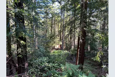 39700 Eureka Hill Road, Point Arena, CA 95468 - Photo 5