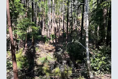 39700 Eureka Hill Road, Point Arena, CA 95468 - Photo 9
