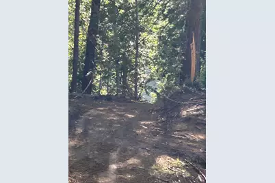 39700 Eureka Hill Road, Point Arena, CA 95468 - Photo 13