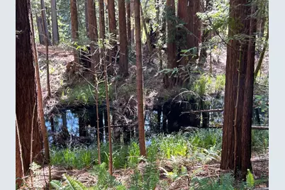 39700 Eureka Hill Road, Point Arena, CA 95468 - Photo 3