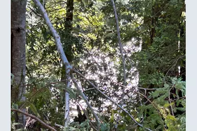 39700 Eureka Hill Road, Point Arena, CA 95468 - Photo 11