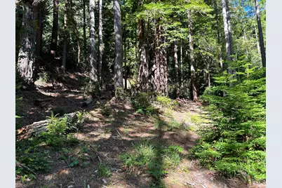 39700 Eureka Hill Road, Point Arena, CA 95468 - Photo 7