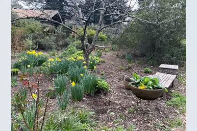 7 Linsdale Lane, Point Reyes Station, CA 94956 - Photo 9