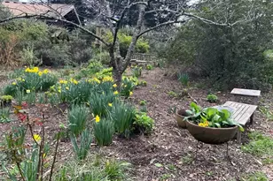 7 Linsdale Ln, Point Reyes Station, CA 94956 - Photo 9