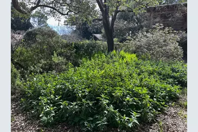 7 Linsdale Lane, Point Reyes Station, CA 94956 - Photo 19