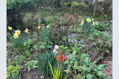 7 Linsdale Lane, Point Reyes Station, CA 94956 - Photo 7