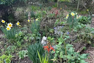 7 Linsdale Ln, Point Reyes Station, CA 94956 - Photo 7