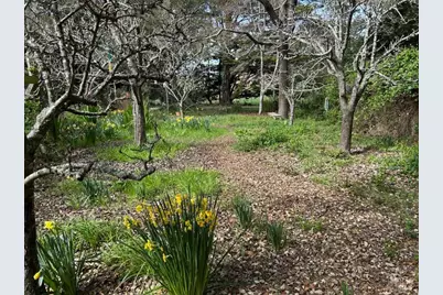 7 Linsdale Lane, Point Reyes Station, CA 94956 - Photo 5