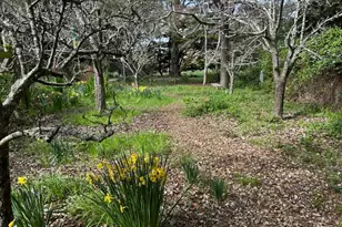 7 Linsdale Ln, Point Reyes Station, CA 94956 - Photo 5