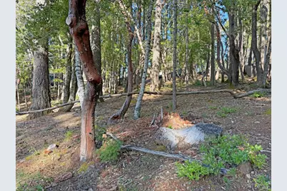 28140 Poppy Drive, Willits, CA 95490 - Photo 3