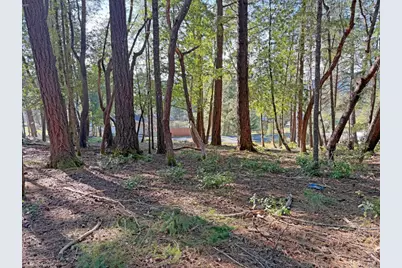 28140 Poppy Drive, Willits, CA 95490 - Photo 3