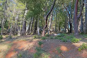 28140 Poppy Dr, Willits, CA 95490 - Photo 1