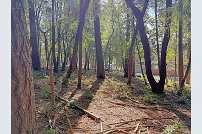 28140 Poppy Drive, Willits, CA 95490 - Photo 5