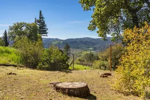 939 Champion Ln, Deer Park, CA 94576 - Photo 53