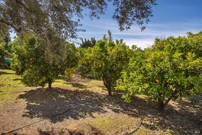 939 Champion Lane, Deer Park, CA 94576 - Photo 57