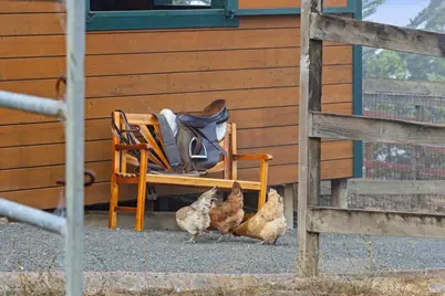 6381 Nicasio Valley Road, Nicasio, CA 94946 - Photo 77