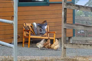 6381 Nicasio Valley Rd, Nicasio, CA 94946 - Photo 77