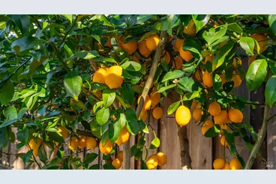 3528 Yale Drive, Santa Rosa, CA 95405 - Photo 33