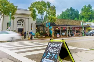 14755 Armstrong Woods Rd, Guerneville, CA 95446 - Photo 19