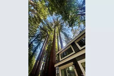 14755 Armstrong Woods Road #18, Guerneville, CA 95446 - Photo 13