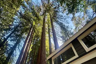 14755 Armstrong Woods Rd, Guerneville, CA 95446 - Photo 13