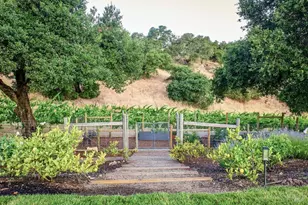 710 Soscol Creek Rd, Napa, CA 94558 - Photo 71