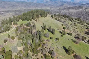 26850 Hwy 162, Covelo, CA 95428 - Photo 21