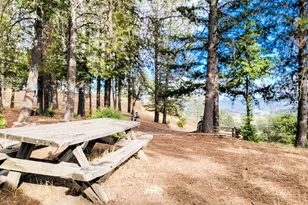 26850 Hwy 162, Covelo, CA 95428 - Photo 11