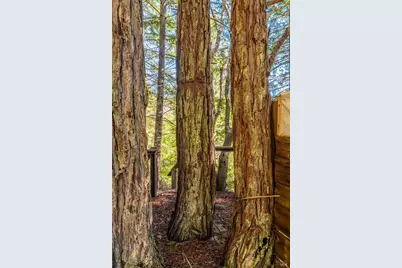 1910 Charoliase Drive, Navarro, CA 95463 - Photo 63