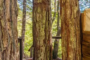 1910 Charoliase Dr, Navarro, CA 95463 - Photo 63