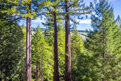 1910 Charoliase Drive, Navarro, CA 95463 - Photo 57