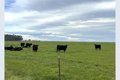 0 Hyde Road, Dixon, CA 95620 - Photo 7