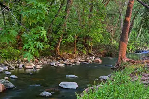 899 Adobe Canyon Rd, Kenwood, CA 95452 - Photo 7