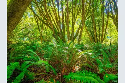 43500 Crispin Road, Manchester, CA 95459 - Photo 89