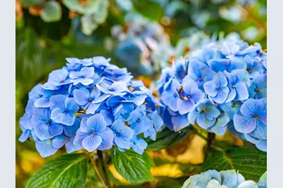 43500 Crispin Road, Manchester, CA 95459 - Photo 43