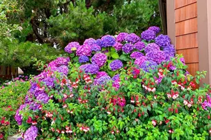 43500 Crispin Rd, Manchester, CA 95459 - Photo 35