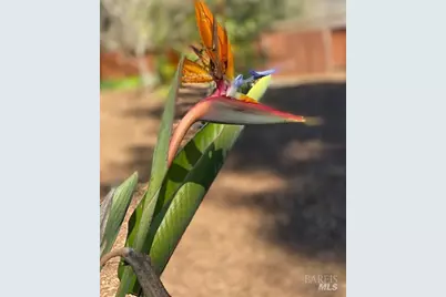 838 Oakwood Drive, Sonoma, CA 95476 - Photo 47