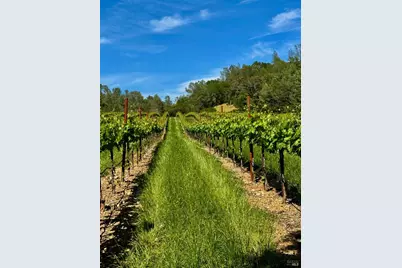 22700 Walling Road, Geyserville, CA 95441 - Photo 41