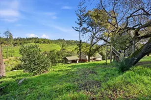 1830 Howell Mountain Rd, Saint Helena, CA 94574 - Photo 29
