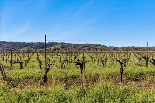 21399 River Ln, Geyserville, CA 95441 - Photo 33