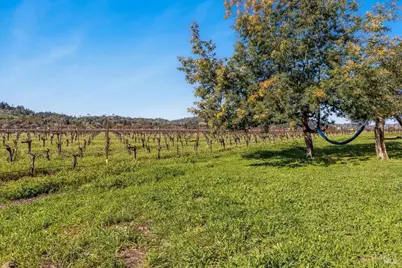 21399 River Lane, Geyserville, CA 95441 - Photo 31