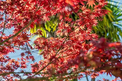 102 F Street, San Rafael, CA 94901 - Photo 47