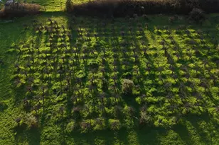 2981 Guidiville Reservation Rd, Ukiah, CA 95482 - Photo 31