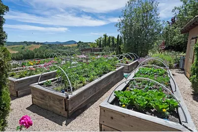 [Address not provided], Healdsburg, CA 95448 - Photo 37